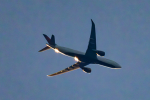 N419DX